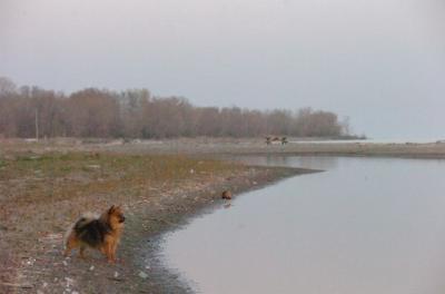 May3_06_530.JPG