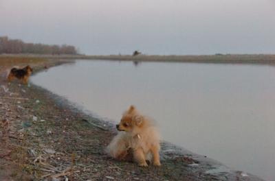 May3_06_531.JPG