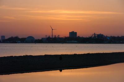 May3_06_533.JPG
