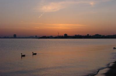 May3_06_540.JPG