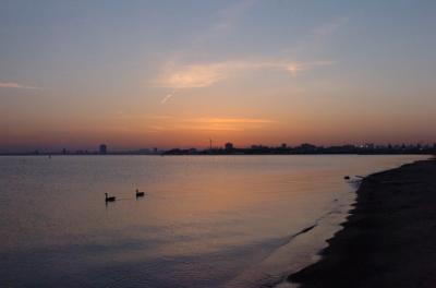 May3_06_541.JPG