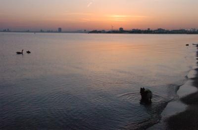 May3_06_544.JPG