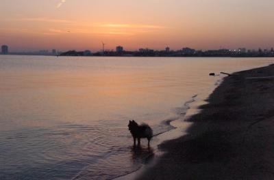 May3_06_545.JPG
