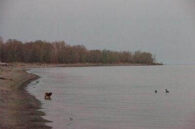 May3_06_547.JPG