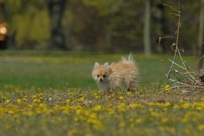 May3_06_553.JPG