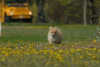 May3_06_554.JPG