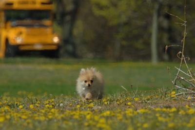 May3_06_555.JPG