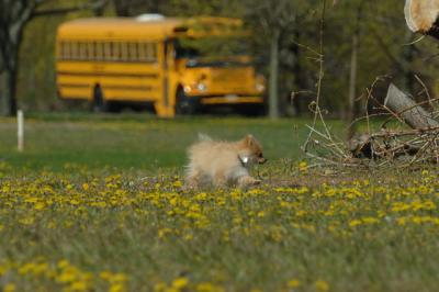May3_06_556.JPG