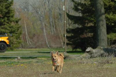May3_06_558.JPG
