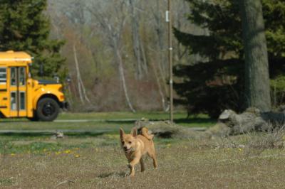 May3_06_559.JPG