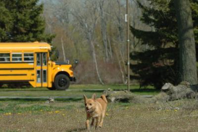 May3_06_560.JPG