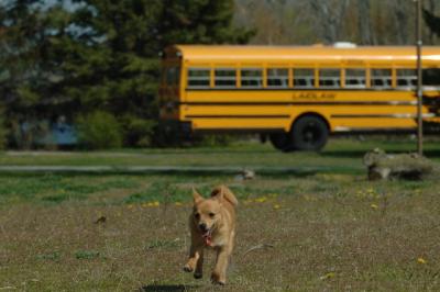 May3_06_561.JPG