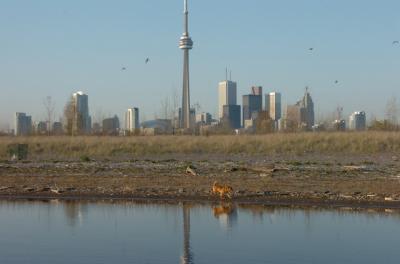 May3_06_403.JPG