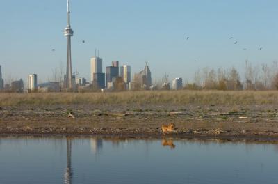 May3_06_405.JPG