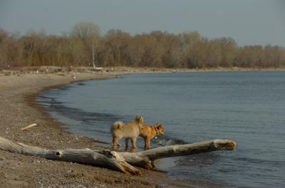 May3_06_145.JPG