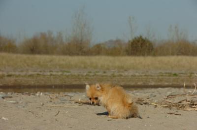 May3_06_147.JPG