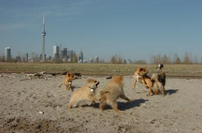 May3_06_148.JPG