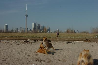 May3_06_149.JPG