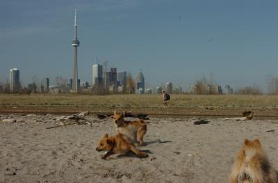 May3_06_150.JPG