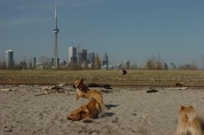 May3_06_151.JPG