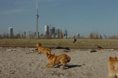 May3_06_152.JPG