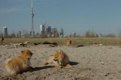May3_06_154.JPG