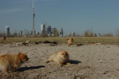 May3_06_155.JPG