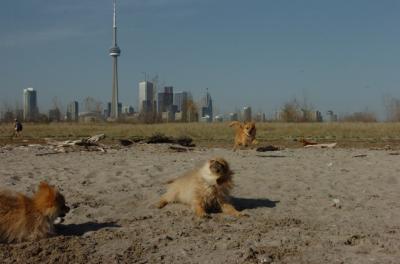 May3_06_156.JPG
