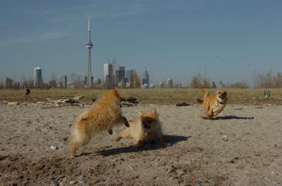 May3_06_157.JPG