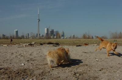 May3_06_158.JPG