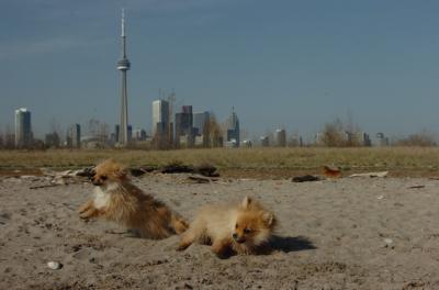 May3_06_159.JPG