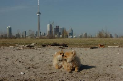 May3_06_160.JPG