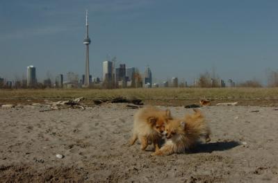 May3_06_162.JPG