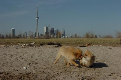 May3_06_163.JPG
