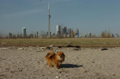 May3_06_164.jpg