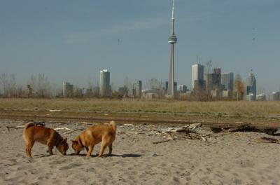 May3_06_167.JPG