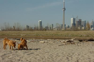 May3_06_168.JPG