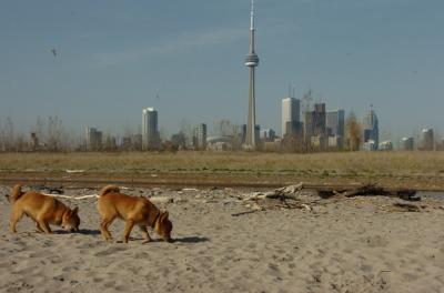 May3_06_169.JPG