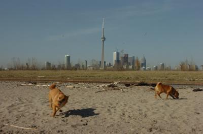 May3_06_170.JPG
