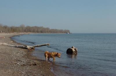 May3_06_193.JPG
