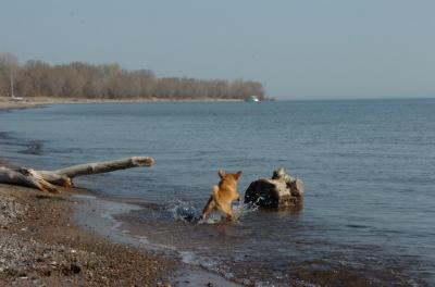May3_06_195.JPG