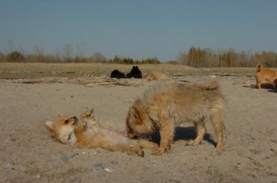 May3_06_200.JPG