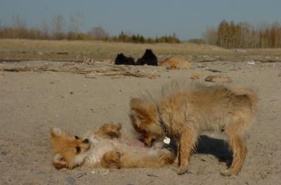 May3_06_203.JPG