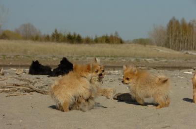 May3_06_205.JPG