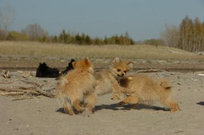 May3_06_206.JPG