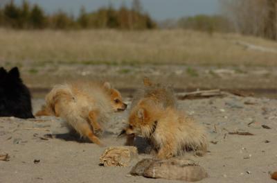 May3_06_209.JPG