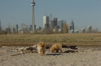 May3_06_212.JPG