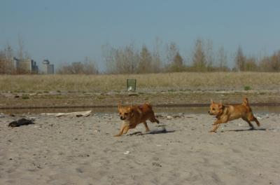 May3_06_226.JPG