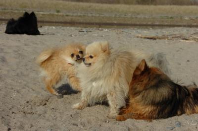 May3_06_235.JPG