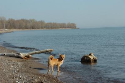 May3_06_247.JPG